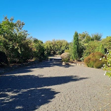 Bidwills Gem Villa Greytown Kültér fotó